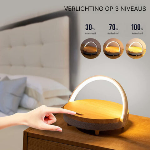 3-in-1 Smart Desk Lamp with Bluetooth Speaker & Wireless ...